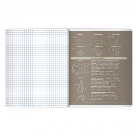 Тетрадь предметная MonoPastel 48л, пластиковая обложка, ГЕОМЕТРИЯ, клетка, подсказ, BRAUBERG, 405506