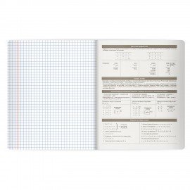 Тетрадь предметная MonoPastel 48л, пластиковая обложка, ИНФОРМАТИКА, клетка, подсказ, BRAUBERG, 405507