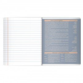 Тетрадь предметная MonoPastel 48л, пластиковая обложка, ЛИТЕРАТУРА, линия, подсказ, BRAUBERG, 405509