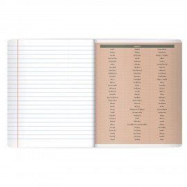 Тетрадь предметная MonoPastel 48л, пластиковая обложка, РУССКИЙ ЯЗЫК, линия, подсказ, BRAUBERG, 405510