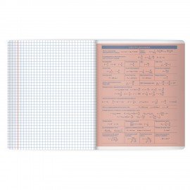 Тетрадь предметная MonoPastel 48л, пластиковая обложка, ФИЗИКА, клетка, подсказ, BRAUBERG, 405511