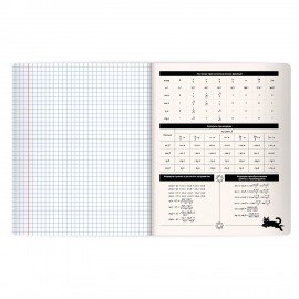 Тетрадь предметная КОТ-НЕПОСЕДА 48л, пластиковая обложка, АЛГЕБРА, клетка, подсказ, BRAUBERG, 405527