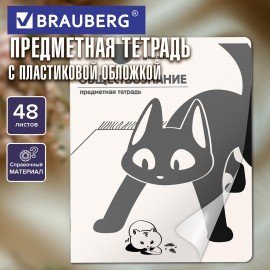 Тетрадь предметная КОТ-НЕПОСЕДА 48л, пластиковая обложка, ОБЩЕСТВОЗНАНИЕ, клетка, подсказ, BRAUBERG, 405528