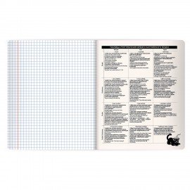 Тетрадь предметная КОТ-НЕПОСЕДА 48л, пластиковая обложка, АНГЛИЙСКИЙ ЯЗЫК, клетка, подсказ, BRAUBERG, 405529