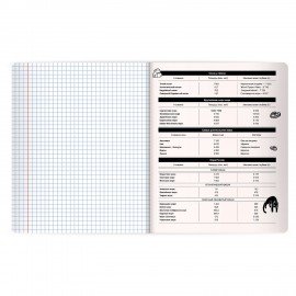 Тетрадь предметная КОТ-НЕПОСЕДА 48л, пластиковая обложка, ГЕОГРАФИЯ, клетка, подсказ, BRAUBERG, 405531