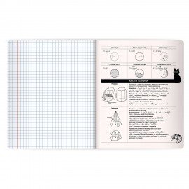 Тетрадь предметная КОТ-НЕПОСЕДА 48л, пластиковая обложка, ГЕОМЕТРИЯ, клетка, подсказ, BRAUBERG, 405532