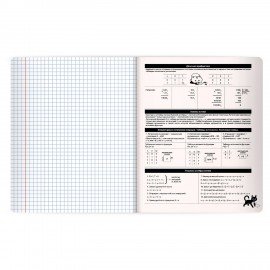 Тетрадь предметная КОТ-НЕПОСЕДА 48л, пластиковая обложка, ИНФОРМАТИКА, клетка, подсказ, BRAUBERG, 405533