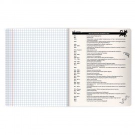 Тетрадь предметная КОТ-НЕПОСЕДА 48л, пластиковая обложка, ИСТОРИЯ, клетка, подсказ, BRAUBERG, 405534