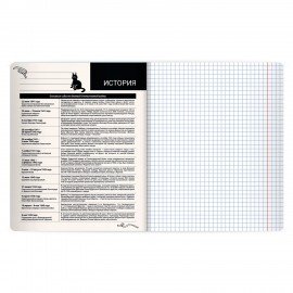 Тетрадь предметная КОТ-НЕПОСЕДА 48л, пластиковая обложка, ИСТОРИЯ, клетка, подсказ, BRAUBERG, 405534