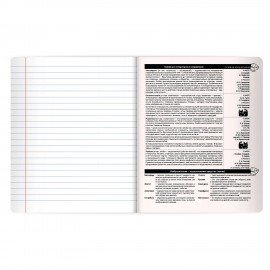 Тетрадь предметная КОТ-НЕПОСЕДА 48л, пластиковая обложка, ЛИТЕРАТУРА, линия, подсказ, BRAUBERG, 405535