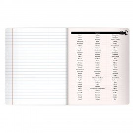 Тетрадь предметная КОТ-НЕПОСЕДА 48л, пластиковая обложка, РУССКИЙ ЯЗЫК, линия, подсказ, BRAUBERG, 405536