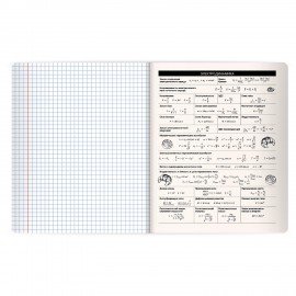 Тетрадь предметная КОТ-НЕПОСЕДА 48л, пластиковая обложка, ФИЗИКА, клетка, подсказ, BRAUBERG, 405537