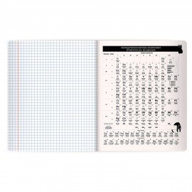 Тетрадь предметная КОТ-НЕПОСЕДА 48л, пластиковая обложка, ХИМИЯ, клетка, подсказ, BRAUBERG, 405538