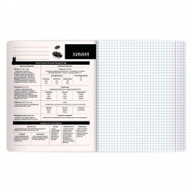 Тетрадь предметная КОТ-НЕПОСЕДА 48л, пластиковая обложка, ХИМИЯ, клетка, подсказ, BRAUBERG, 405538