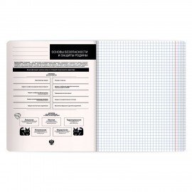 Тетрадь предметная КОТ-НЕПОСЕДА 48л, пластиковая обложка, ОБЗР, клетка, подсказ, BRAUBERG, 405539