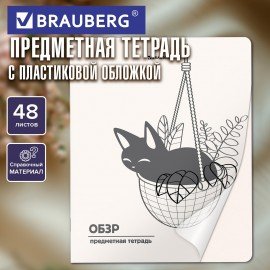 Тетрадь предметная КОТ-НЕПОСЕДА 48л, пластиковая обложка, ОБЗР, клетка, подсказ, BRAUBERG, 405539