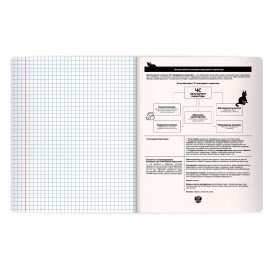 Тетрадь предметная КОТ-НЕПОСЕДА 48л, пластиковая обложка, ОБЗР, клетка, подсказ, BRAUBERG, 405539