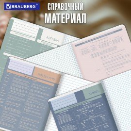 Тетради предметные, КОМПЛЕКТ 12 ПРЕДМЕТОВ 48л, пластиковая обложка, BRAUBERG "MonoPastel", 405540