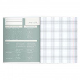 Тетради предметные, КОМПЛЕКТ 12 ПРЕДМЕТОВ 48л, пластиковая обложка, BRAUBERG "MonoPastel", 405540