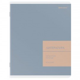 Тетради предметные, КОМПЛЕКТ 12 ПРЕДМЕТОВ 48л, пластиковая обложка, BRAUBERG "MonoPastel", 405540