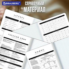 Тетради предметные, КОМПЛЕКТ 12 ПРЕДМЕТОВ 48л, пластиковая обложка, BRAUBERG "BLACK MODE", 405541