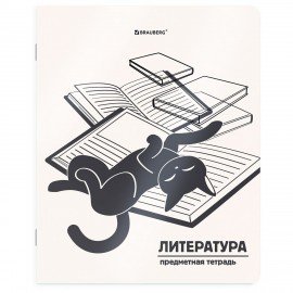 Тетради предметные, КОМПЛЕКТ 12 ПРЕДМЕТОВ 48л, пластиковая обложка, BRAUBERG "КОТ-НЕПОСЕДА", 405542