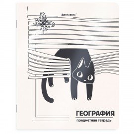 Тетради предметные, КОМПЛЕКТ 12 ПРЕДМЕТОВ 48л, пластиковая обложка, BRAUBERG "КОТ-НЕПОСЕДА", 405542