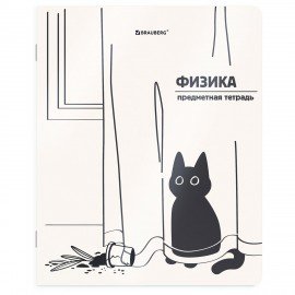 Тетради предметные, КОМПЛЕКТ 12 ПРЕДМЕТОВ 48л, пластиковая обложка, BRAUBERG "КОТ-НЕПОСЕДА", 405542