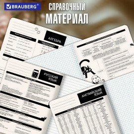 Тетради предметные, КОМПЛЕКТ 12 ПРЕДМЕТОВ 48л, пластиковая обложка, BRAUBERG "КОТ-НЕПОСЕДА", 405542