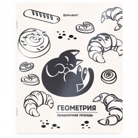 Тетради предметные, КОМПЛЕКТ 12 ПРЕДМЕТОВ 48л, пластиковая обложка, BRAUBERG "КОТ-НЕПОСЕДА", 405542