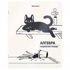Тетради предметные, КОМПЛЕКТ 12 ПРЕДМЕТОВ 48л, пластиковая обложка, BRAUBERG "КОТ-НЕПОСЕДА", 405542