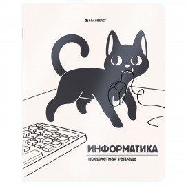 Тетради предметные, КОМПЛЕКТ 12 ПРЕДМЕТОВ 48л, пластиковая обложка, BRAUBERG "КОТ-НЕПОСЕДА", 405542