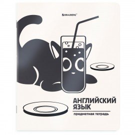 Тетради предметные, КОМПЛЕКТ 12 ПРЕДМЕТОВ 48л, пластиковая обложка, BRAUBERG "КОТ-НЕПОСЕДА", 405542