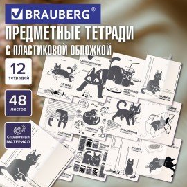 Тетради предметные, КОМПЛЕКТ 12 ПРЕДМЕТОВ 48л, пластиковая обложка, BRAUBERG "КОТ-НЕПОСЕДА", 405542