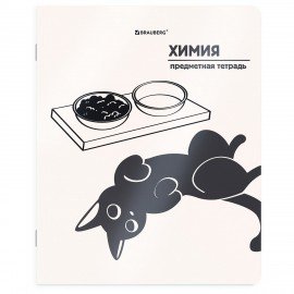 Тетради предметные, КОМПЛЕКТ 12 ПРЕДМЕТОВ 48л, пластиковая обложка, BRAUBERG "КОТ-НЕПОСЕДА", 405542