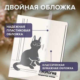 Тетради предметные, КОМПЛЕКТ 12 ПРЕДМЕТОВ 48л, пластиковая обложка, BRAUBERG "КОТ-НЕПОСЕДА", 405542
