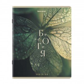 Тетради предметные, КОМПЛЕКТ 12 ПРЕДМЕТОВ 48л, пластиковая обложка, BRAUBERG "PURE NATURE", 405543