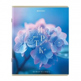 Тетради предметные, КОМПЛЕКТ 12 ПРЕДМЕТОВ 48л, пластиковая обложка, BRAUBERG "PURE NATURE", 405543