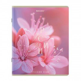 Тетради предметные, КОМПЛЕКТ 12 ПРЕДМЕТОВ 48л, пластиковая обложка, BRAUBERG "PURE NATURE", 405543