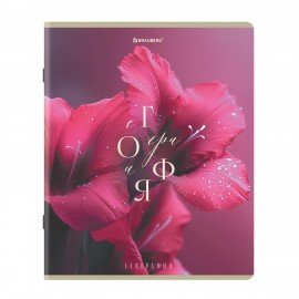 Тетради предметные, КОМПЛЕКТ 12 ПРЕДМЕТОВ 48л, пластиковая обложка, BRAUBERG "PURE NATURE", 405543