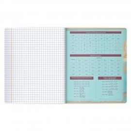 Тетради предметные, КОМПЛЕКТ 12 ПРЕДМЕТОВ 48л, пластиковая обложка, BRAUBERG "PURE NATURE", 405543