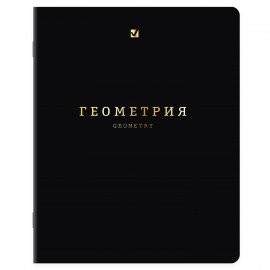 Тетради предметные, КОМПЛЕКТ 12 ПРЕДМЕТОВ, 48л, SoftTouch, 3D-фольга, BRAUBERG, BLACK GOLD, 405602