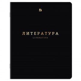 Тетради предметные, КОМПЛЕКТ 12 ПРЕДМЕТОВ, 48л, SoftTouch, 3D-фольга, BRAUBERG, BLACK GOLD, 405602