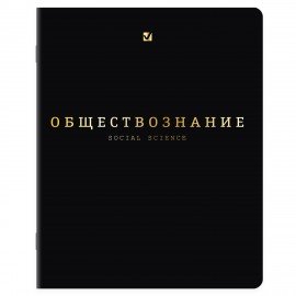 Тетради предметные, КОМПЛЕКТ 12 ПРЕДМЕТОВ, 48л, SoftTouch, 3D-фольга, BRAUBERG, BLACK GOLD, 405602