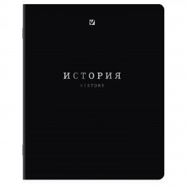 Тетради предметные, КОМПЛЕКТ 12 ПРЕДМЕТОВ, 48л, SoftTouch, 3D-фольга, BRAUBERG, BLACK GOLD, 405602