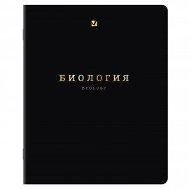 Тетради предметные, КОМПЛЕКТ 12 ПРЕДМЕТОВ, 48л, SoftTouch, 3D-фольга, BRAUBERG, BLACK GOLD, 405602