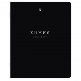 Тетради предметные, КОМПЛЕКТ 12 ПРЕДМЕТОВ, 48л, SoftTouch, 3D-фольга, BRAUBERG, BLACK GOLD, 405602