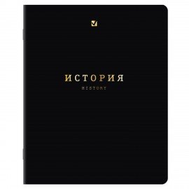 Тетради предметные, КОМПЛЕКТ 12 ПРЕДМЕТОВ, 48л, SoftTouch, 3D-фольга, BRAUBERG, BLACK GOLD, 405602