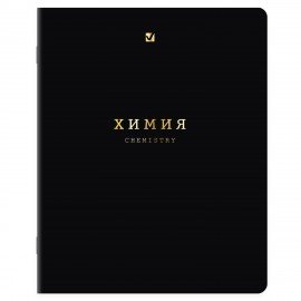 Тетради предметные, КОМПЛЕКТ 12 ПРЕДМЕТОВ, 48л, SoftTouch, 3D-фольга, BRAUBERG, BLACK GOLD, 405602