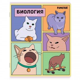 Тетради предметные, КОМПЛЕКТ 12 ПРЕДМЕТОВ, 48л, TWIN лак, FUNSTER, МЕМНЫЕ КОТЫ, 405604